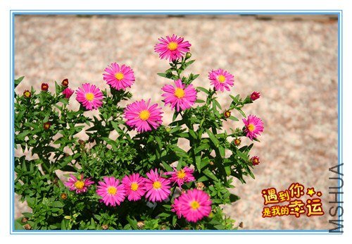 ��Ƭ 128_����.jpg