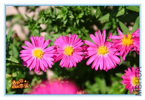 ��Ƭ 130_����.jpg