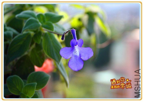 ��Ƭ 010_����.jpg