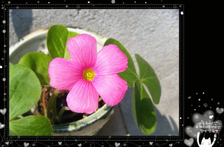 DSCF7336_����.jpg