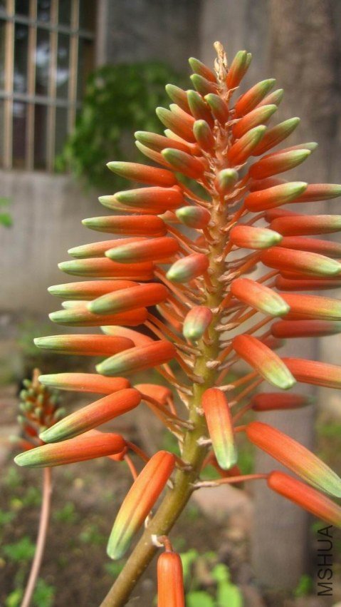 «��IMG_0906.JPG