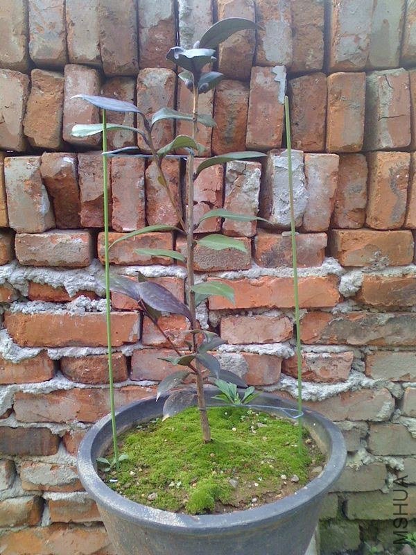 IMG0919063600.jpg