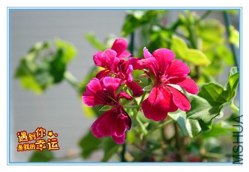 ��Ƭ 102_����.jpg