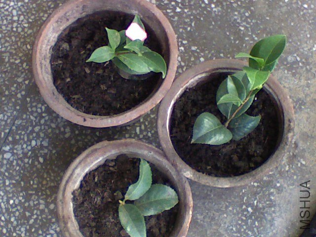 ����һ������