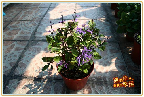 ��Ƭ 053_����.jpg