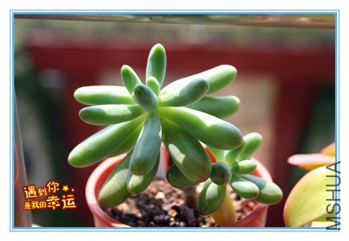 ��Ƭ 107_����.jpg