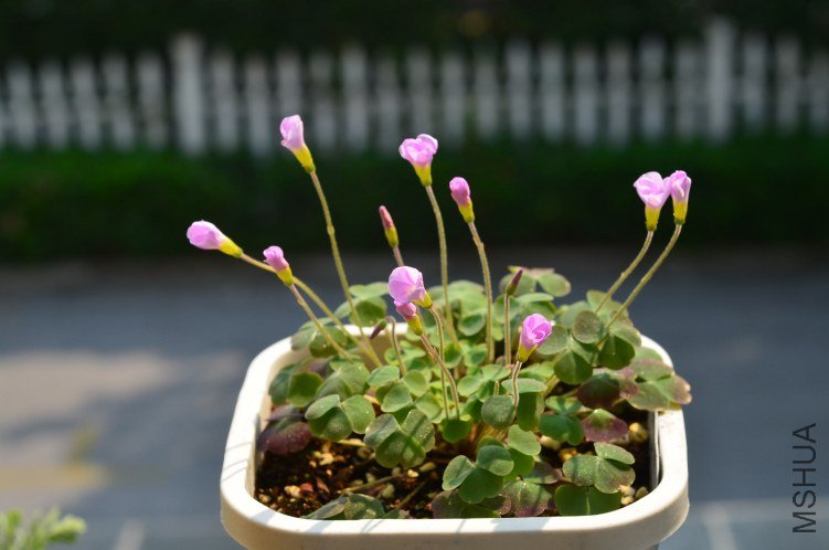 ����20120919 007.JPG