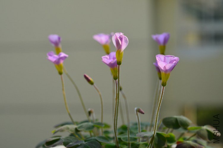 ����20120919 005.JPG