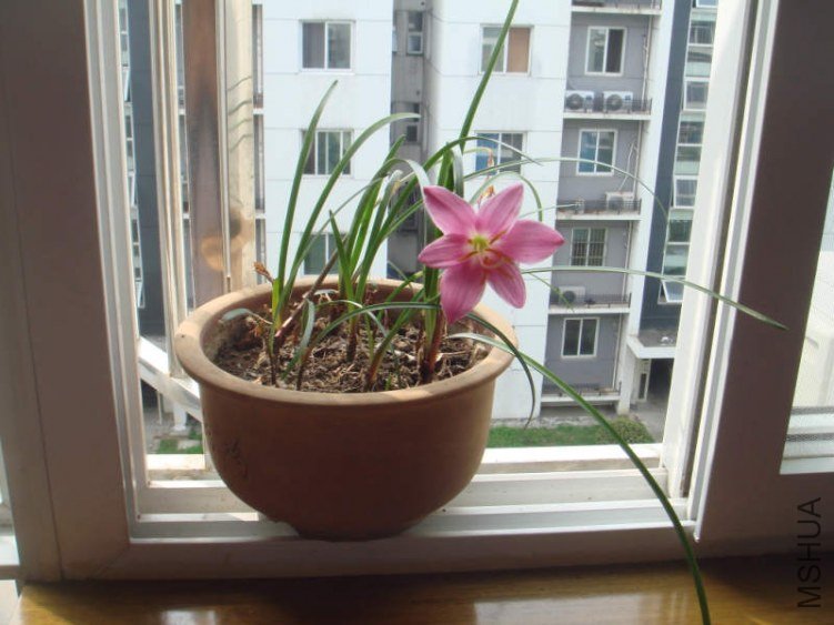 DSC05104.jpg