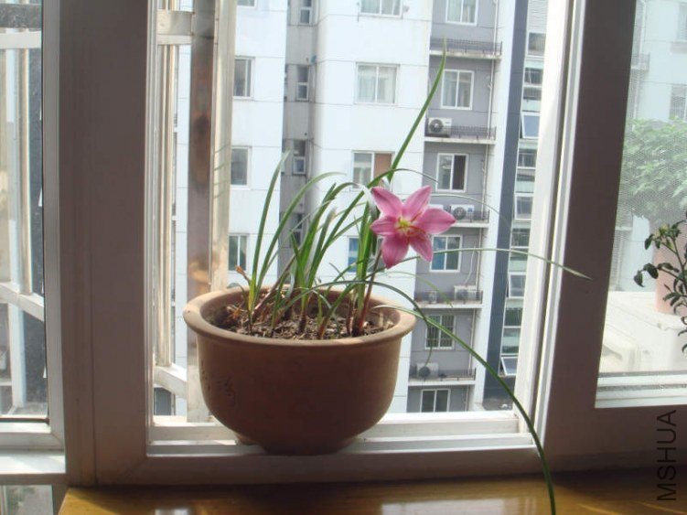 DSC05105.jpg