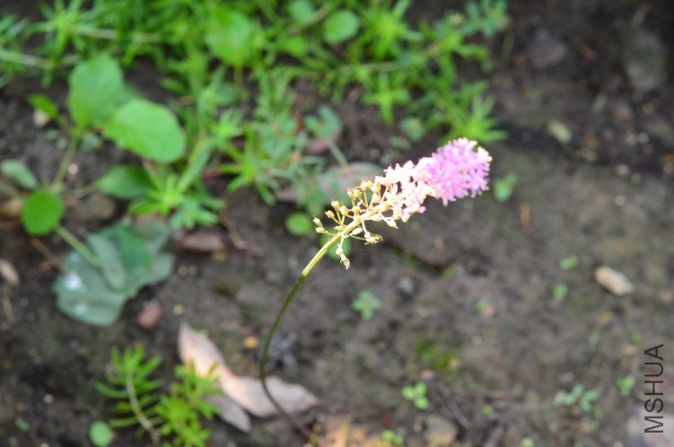 DSC_0047.JPG