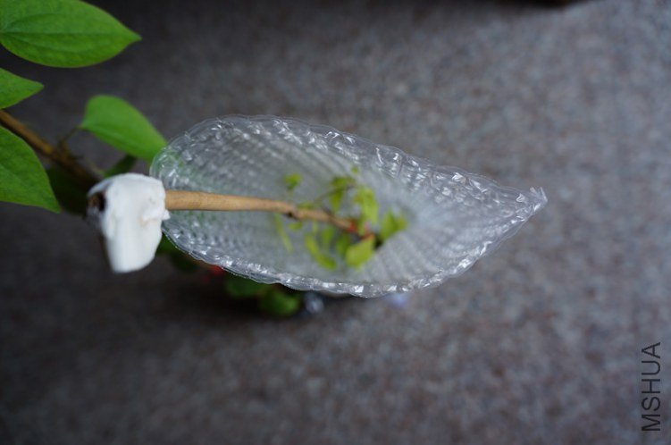 DSC06033_����.jpg