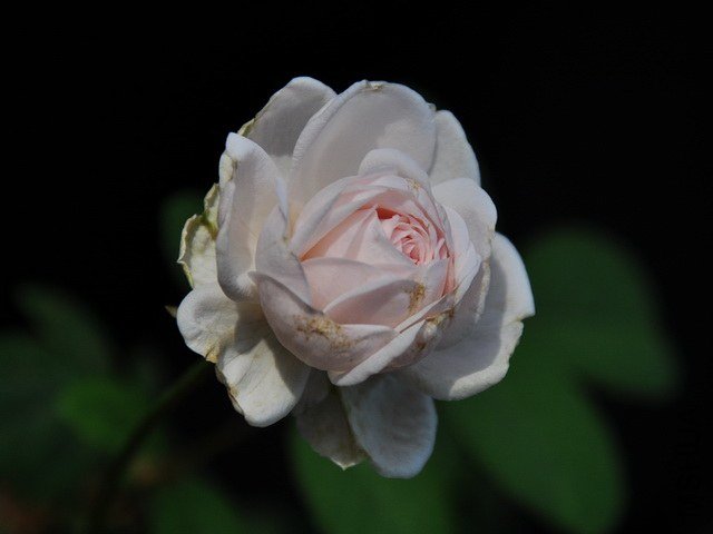 DSC_2326.JPG