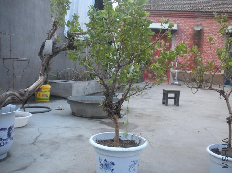 ��Ƭ 009.jpg