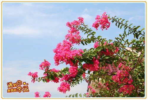 ��Ƭ 035_����.jpg