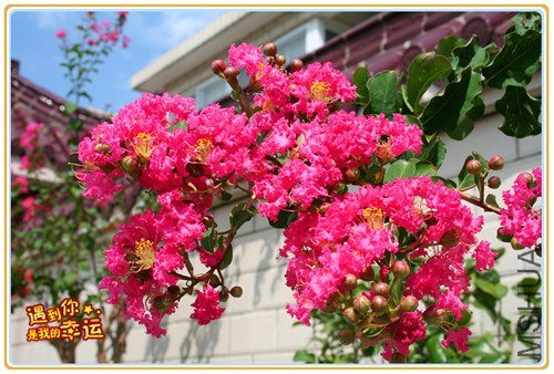 ��Ƭ 035_����1.jpg