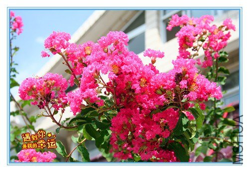 ��Ƭ 035����2.jpg