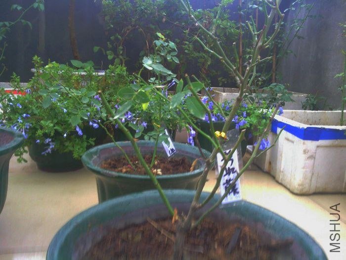 IMG_20120920_091605.jpg