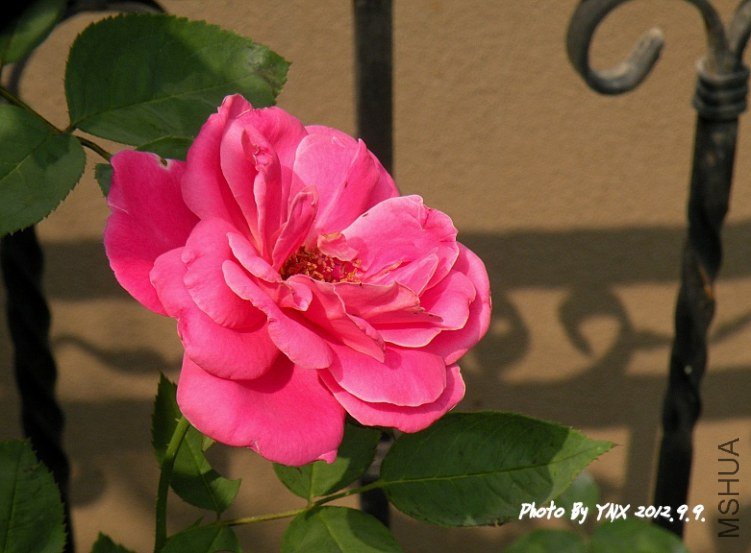 2012.9.9 019_conew2.jpg