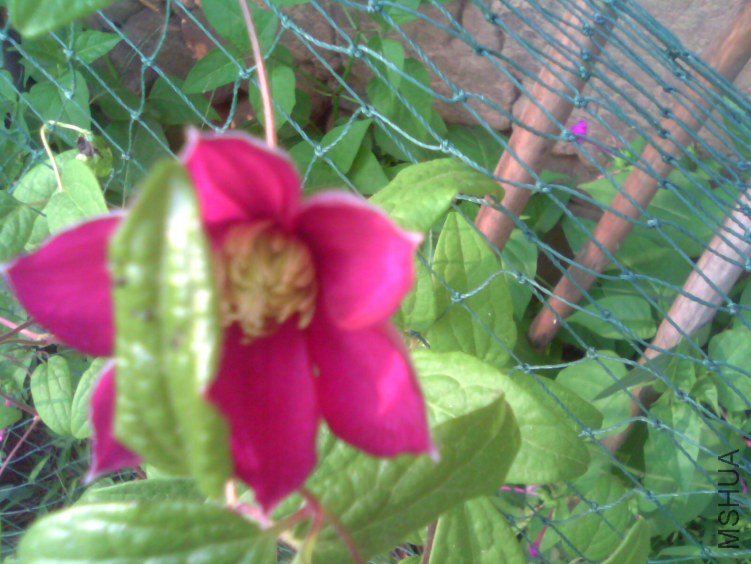 ��������