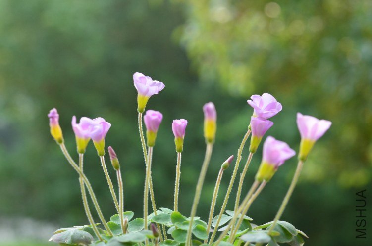 ����20120920 006.JPG