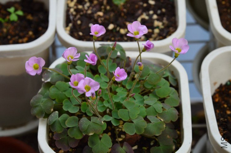 ����20120920 007.JPG