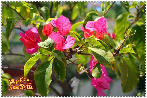 ��Ƭ 076_����.jpg