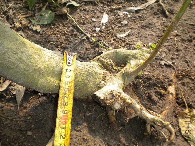 DSCN4276.JPG