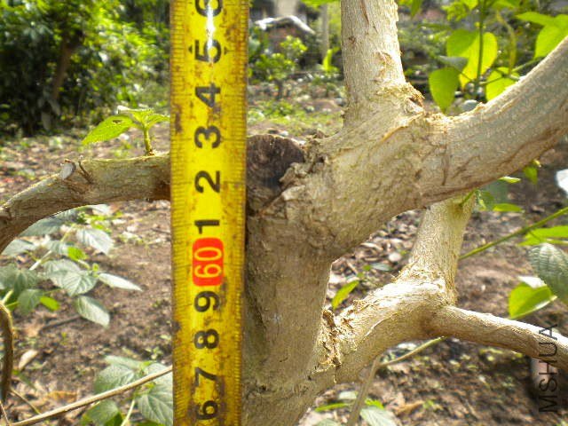 DSCN4277.JPG