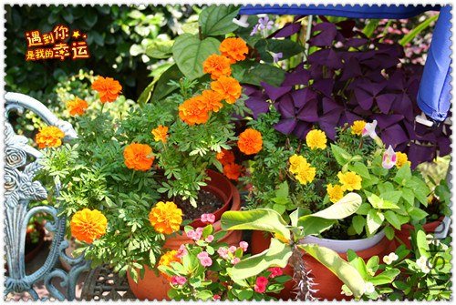 ��Ƭ 132_����.jpg