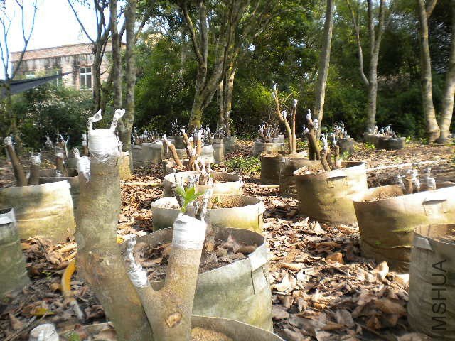 DSCN4231.JPG