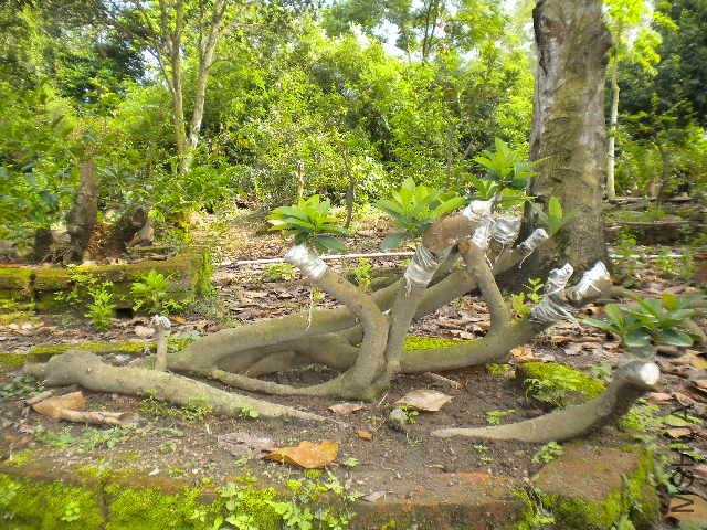 DSCN4260.JPG