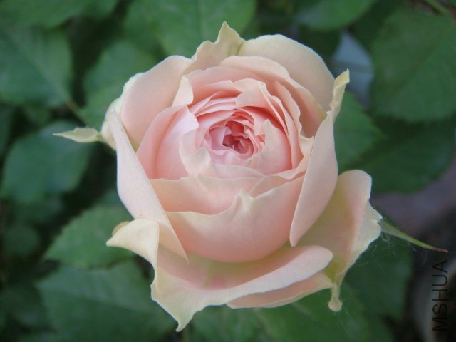 DSC04034.JPG