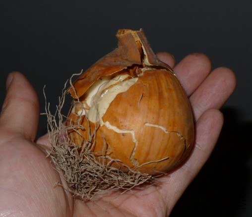 QQ��ͼ20120921193006.jpg