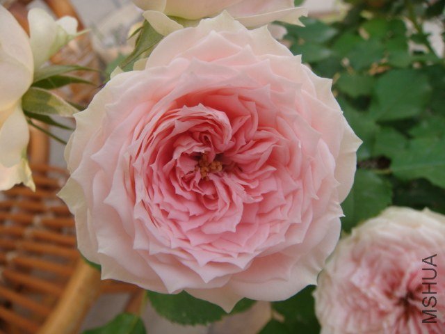 DSC04567.JPG
