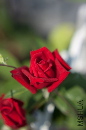 nEO_IMG_IMG_4404.jpg