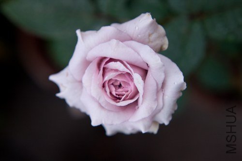 nEO_IMG_IMG_4470.jpg
