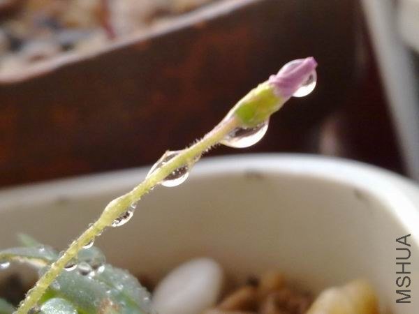 ������С 201209213682.jpg