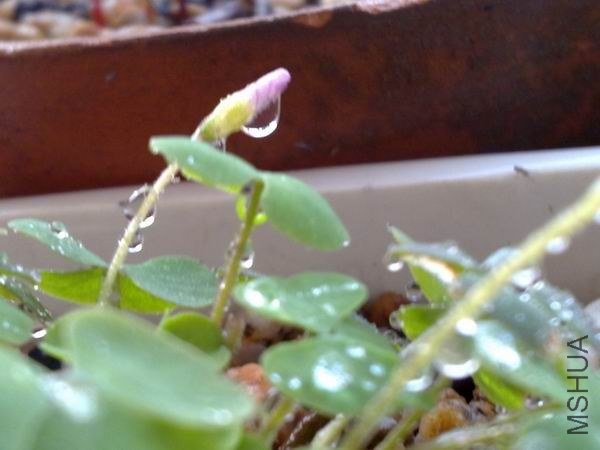 ������С 201209213683.jpg