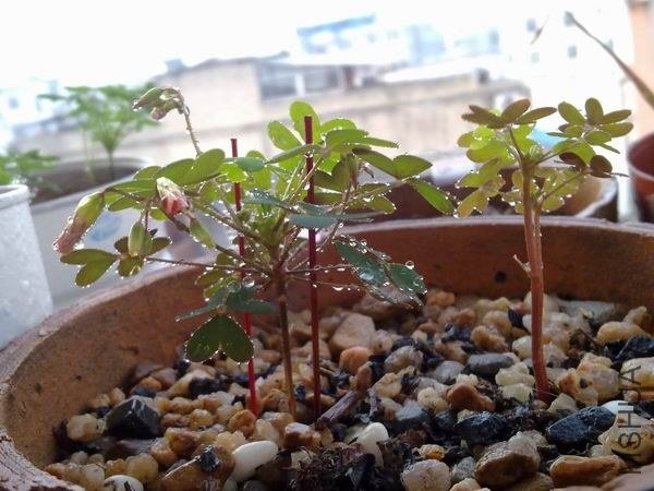 ������С 201209213686.jpg