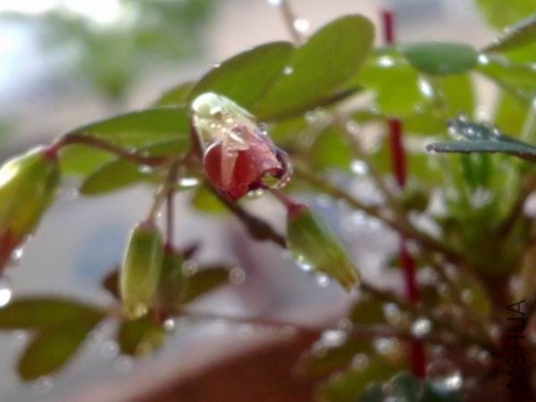 ������С 201209213688.jpg