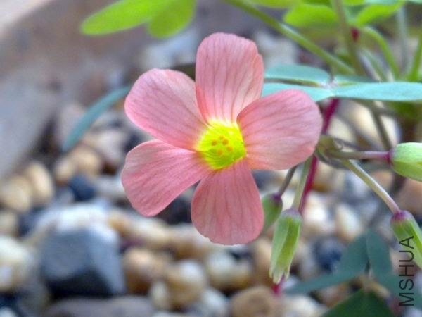 ������С 201209213706.jpg