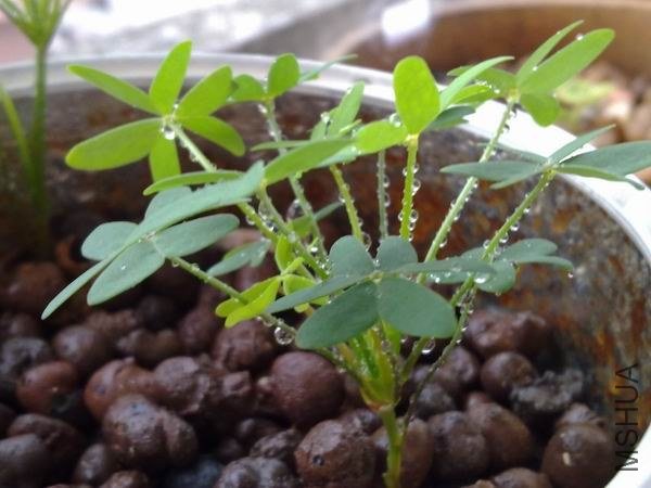 ������С 201209203670.jpg