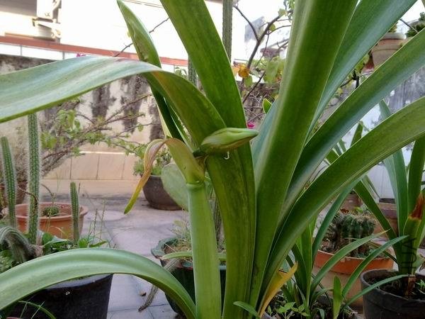 ������С 201209213699.jpg