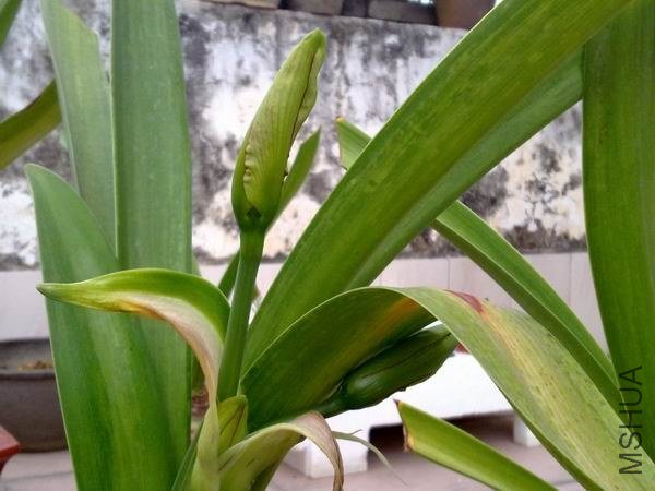 ������С 201209213734.jpg