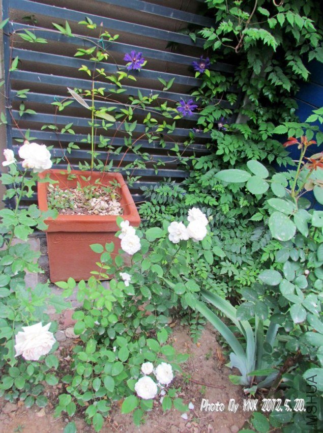 2012.5.20. 026_conew1.jpg