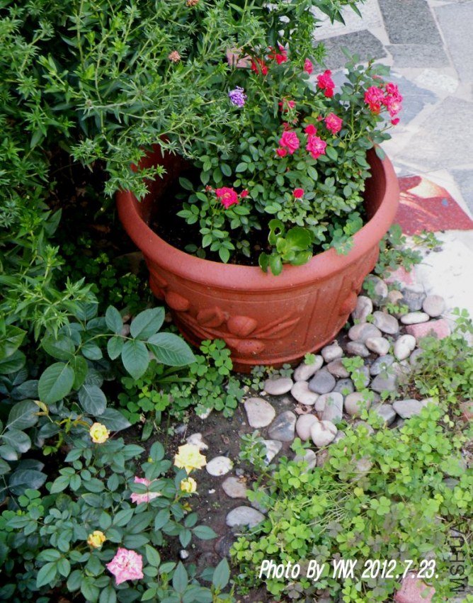2012.7.23. 015_conew1.jpg