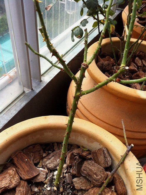 iphone2012-9-25 104.jpg