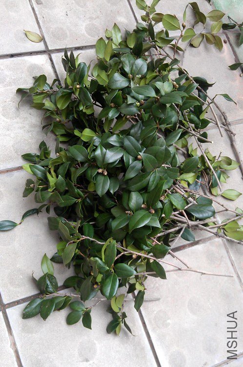 ����Ѿ�ǩ���Ҽ������ǩ������!!����Щ����ǩ�÷������˰�!!!