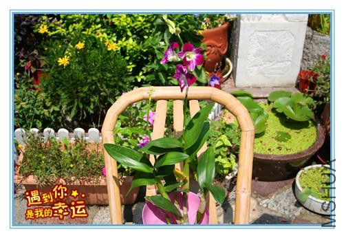 ��Ƭ 145_����.jpg